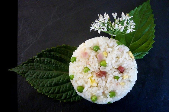 Coriandre et Citronnelle - photo 4