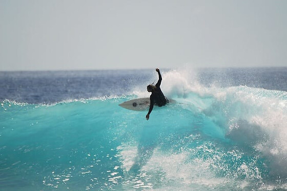 PARADISE - photo 3
