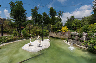 Entrée groupe au Zoo - Parc zoologique de Maubeuge - Maubeuge (59)