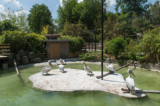 Entrée groupe au Zoo - Parc zoologique de Maubeuge - Maubeuge (59)