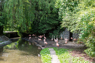 Entrée groupe au Zoo - Parc zoologique de Maubeuge - Maubeuge (59)