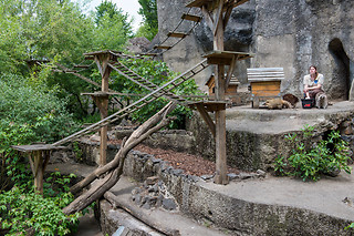 Entrée groupe au Zoo - Parc zoologique de Maubeuge - Maubeuge (59)