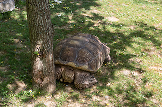 Entrée groupe au Zoo - Parc zoologique de Maubeuge - Maubeuge (59)