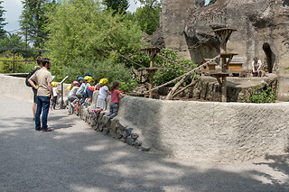 Entrée groupe au Zoo - Parc zoologique de Maubeuge - Maubeuge (59)
