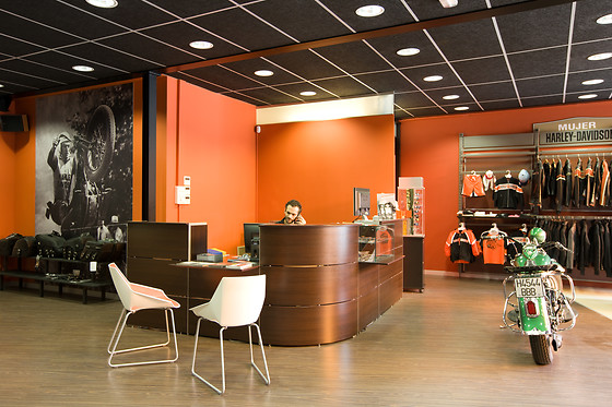 HARLEY DAVIDSON BILBAO - photo 7