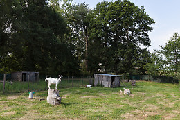 Le Domaine des Cygnes