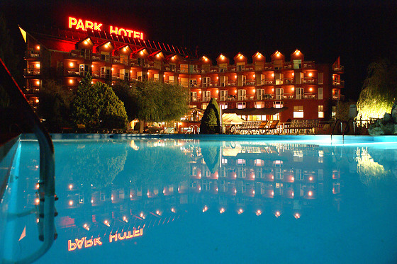 HOTEL PARK PUIGCERDA - photo 7