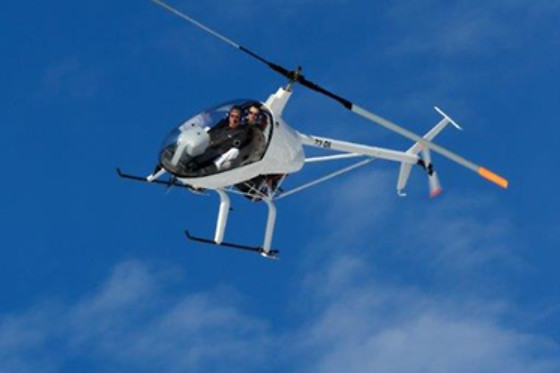 Les Volatiles - photo 5