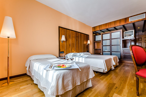 HOTEL DOÑA BRIGIDA - SALAMANCA FORUM - photo 20