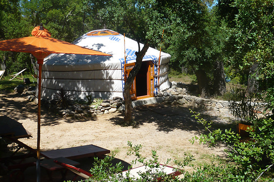 Au Soleil Mongol - photo 7
