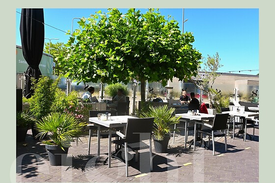 Grand Café Eight - photo 1