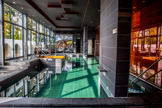 Hotel & Spa Savarin - photo 5