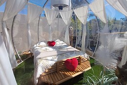 Bulle Mauran Berre