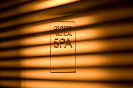 OPORTO MEDICAL SPA