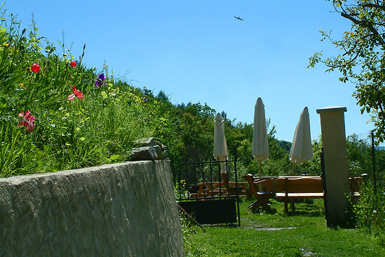 L'Asphodèle - photo 4