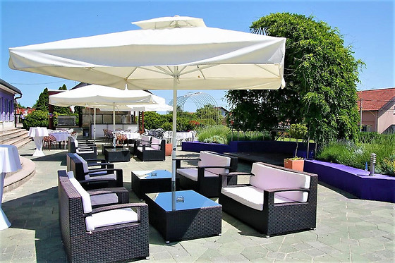 Hotel Phoenix - photo 7