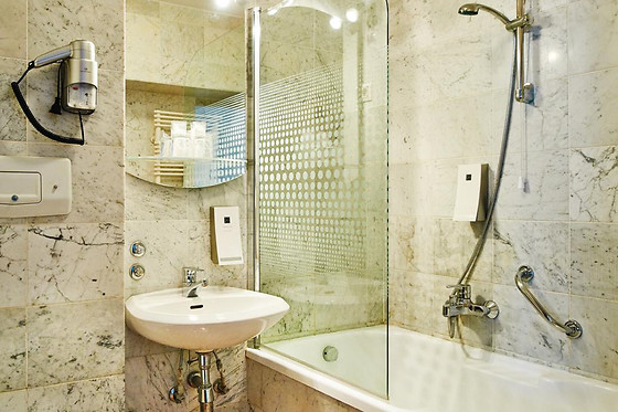 Hotel Phoenix - photo 19