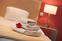 Hotel Phoenix