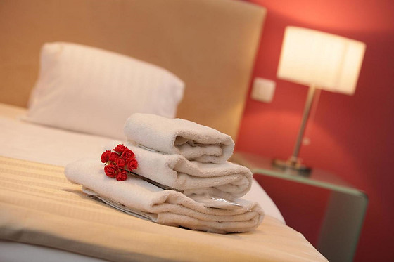 Hotel Phoenix - photo 9