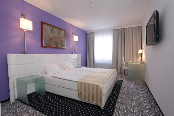 Hotel Phoenix - photo 12
