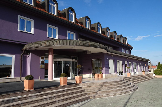Hotel Phoenix - photo 13
