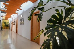 HOSTAL LOW COST BEN NASSAR