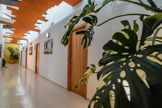 HOSTAL LOW COST BEN NASSAR - photo 6