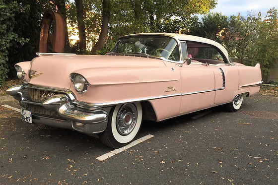 Cady Cruise - photo 21