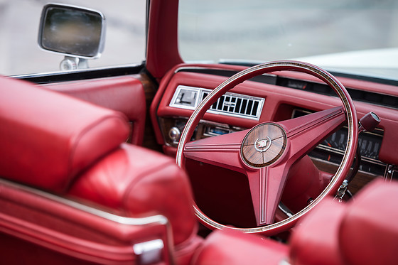 Cady Cruise - photo 12