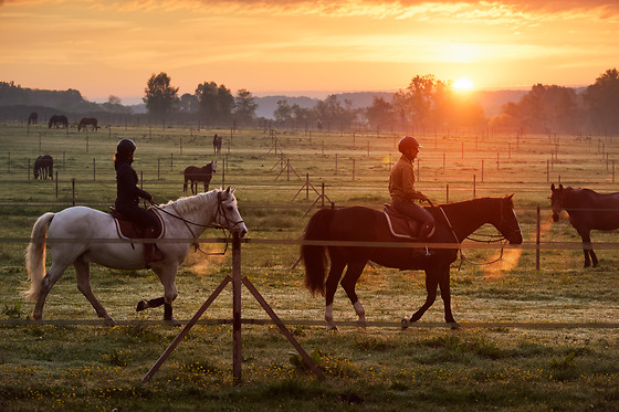 Haras de la Cense - photo 0