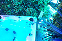 Shine Spa