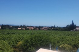 Zenastia à La Bastide Neuve des Oliviers