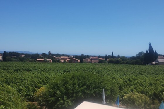 Zenastia à La Bastide Neuve des Oliviers - photo 12
