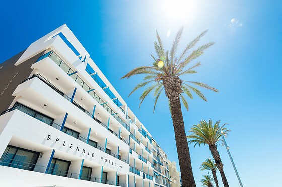 SPLENDID HOTEL - photo 4