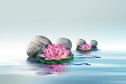 Silva Massagen Therapie Beauty