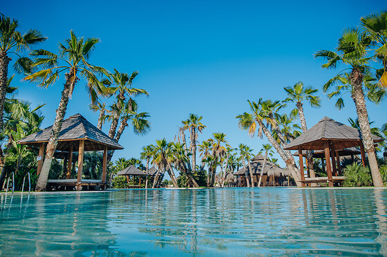 ALANNIA COSTA BLANCA - photo 4