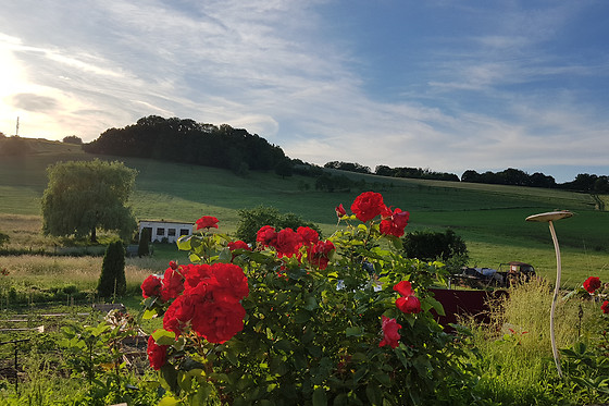 Le Domaine des Prés - photo 4