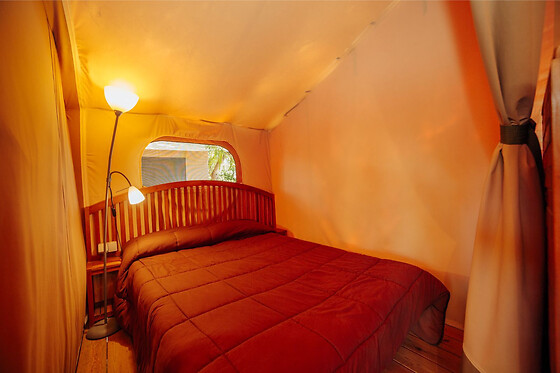 ALANNIA GUARDAMAR - photo 12