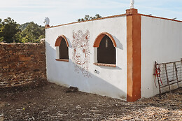 EXPERIENCE ALPACAS IN ANDALUCÍA