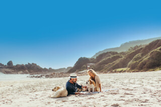 Met de hond op weekend