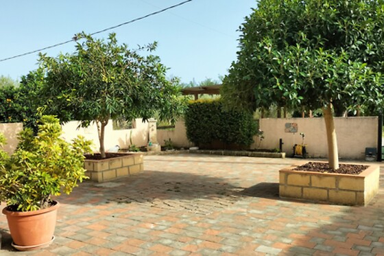 B&B Il Feudo - photo 5