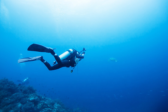 MARINADIVING - photo 1