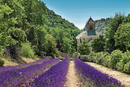 La Bugadière
