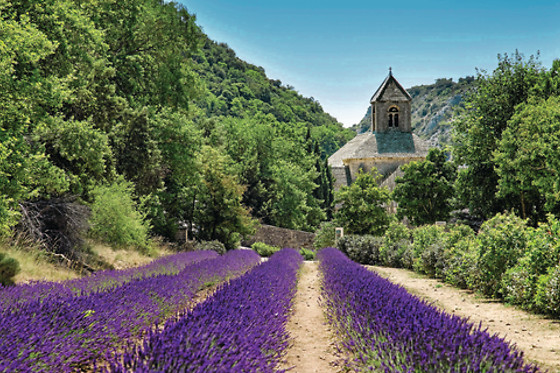 La Bugadière - photo 2