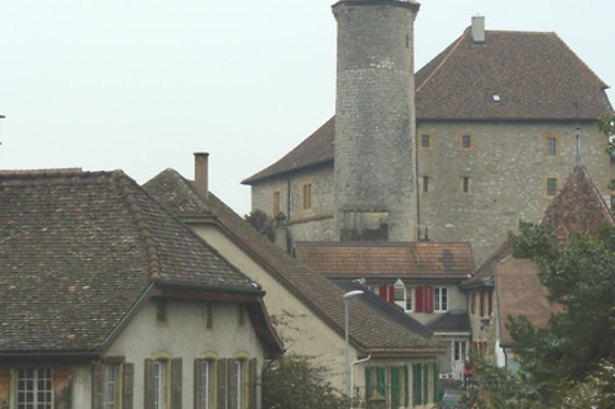 Domaine du Pampre - photo 6
