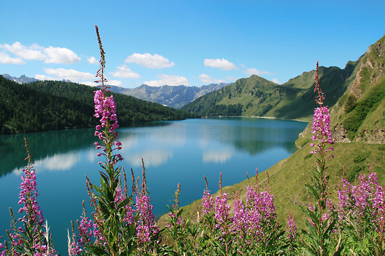 Rifugio Lago Ritom - photo 2