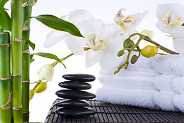Estetica Dea