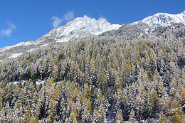 Hôtel-Restaurant Aiguille de la Tza