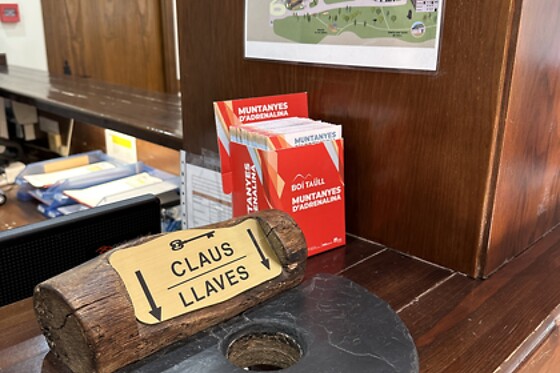 APARTAMENTOS SOLANA, HOTEL TAULL & ROMANIC - photo 10