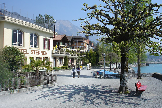 Seehotel Sternen Brienz - photo 0